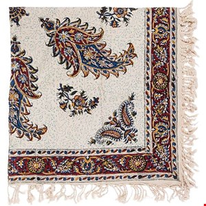 دوربین conon